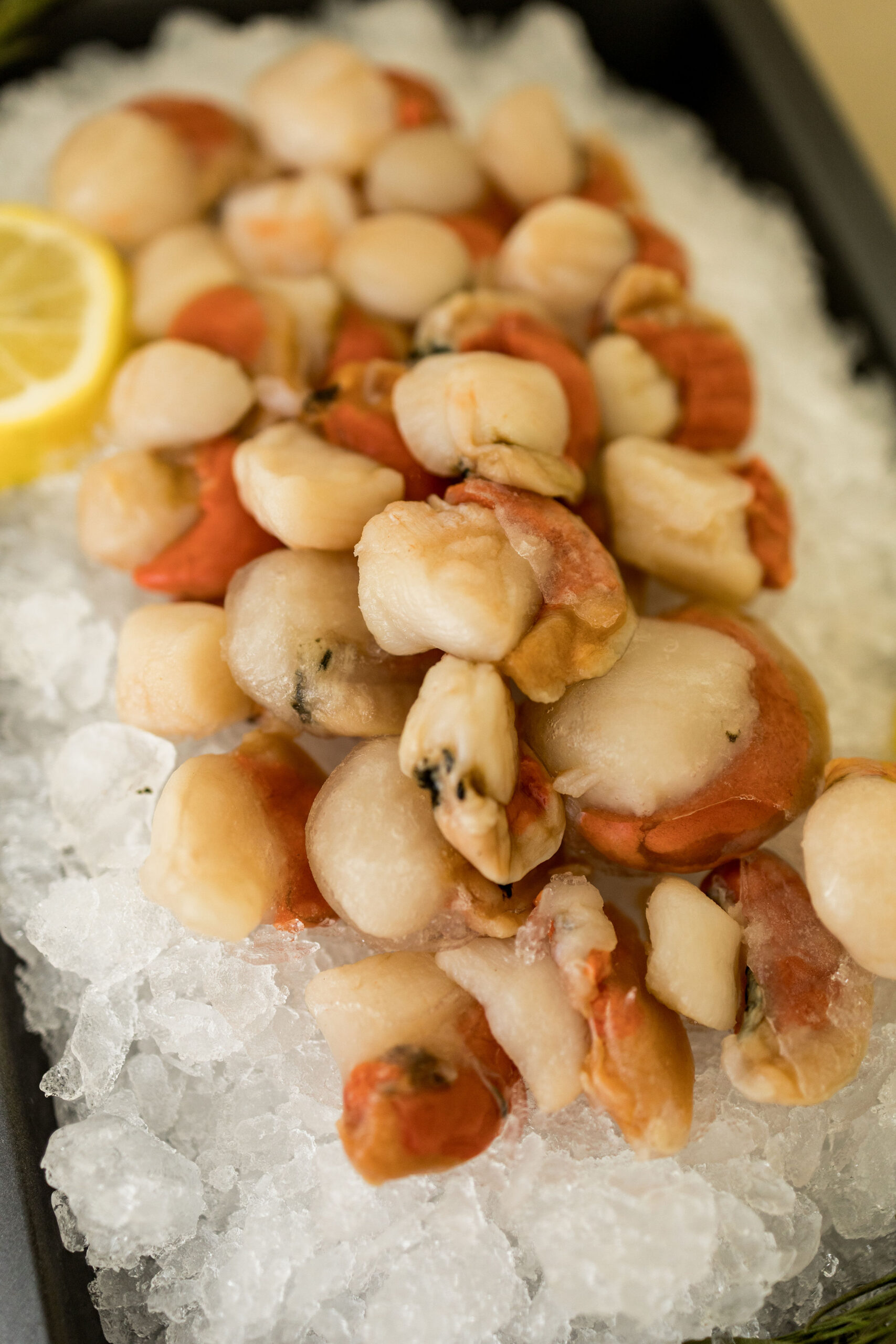 Compra de scallops Oymar