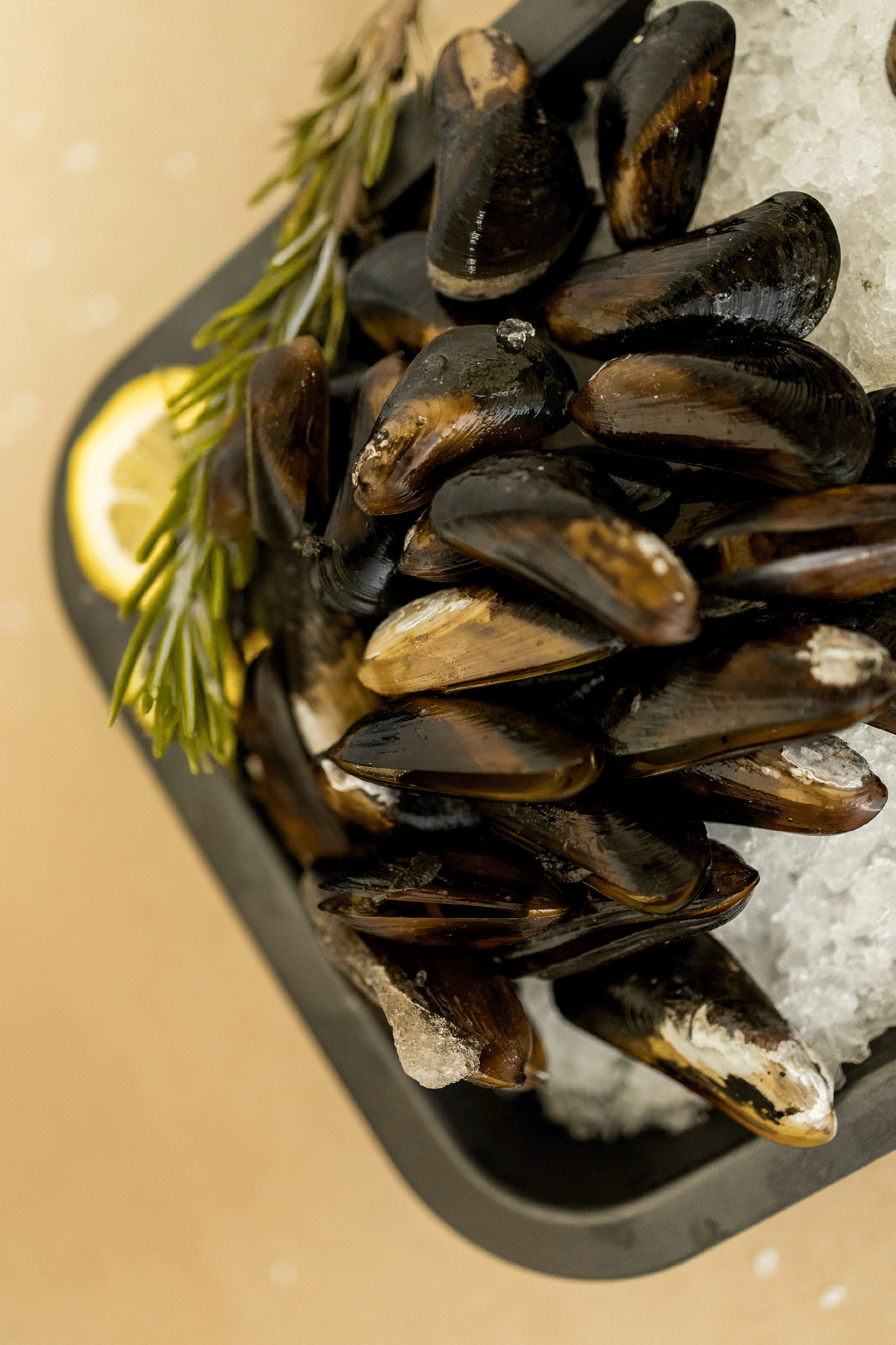 Donde-comprar-Mejillones-Oymar