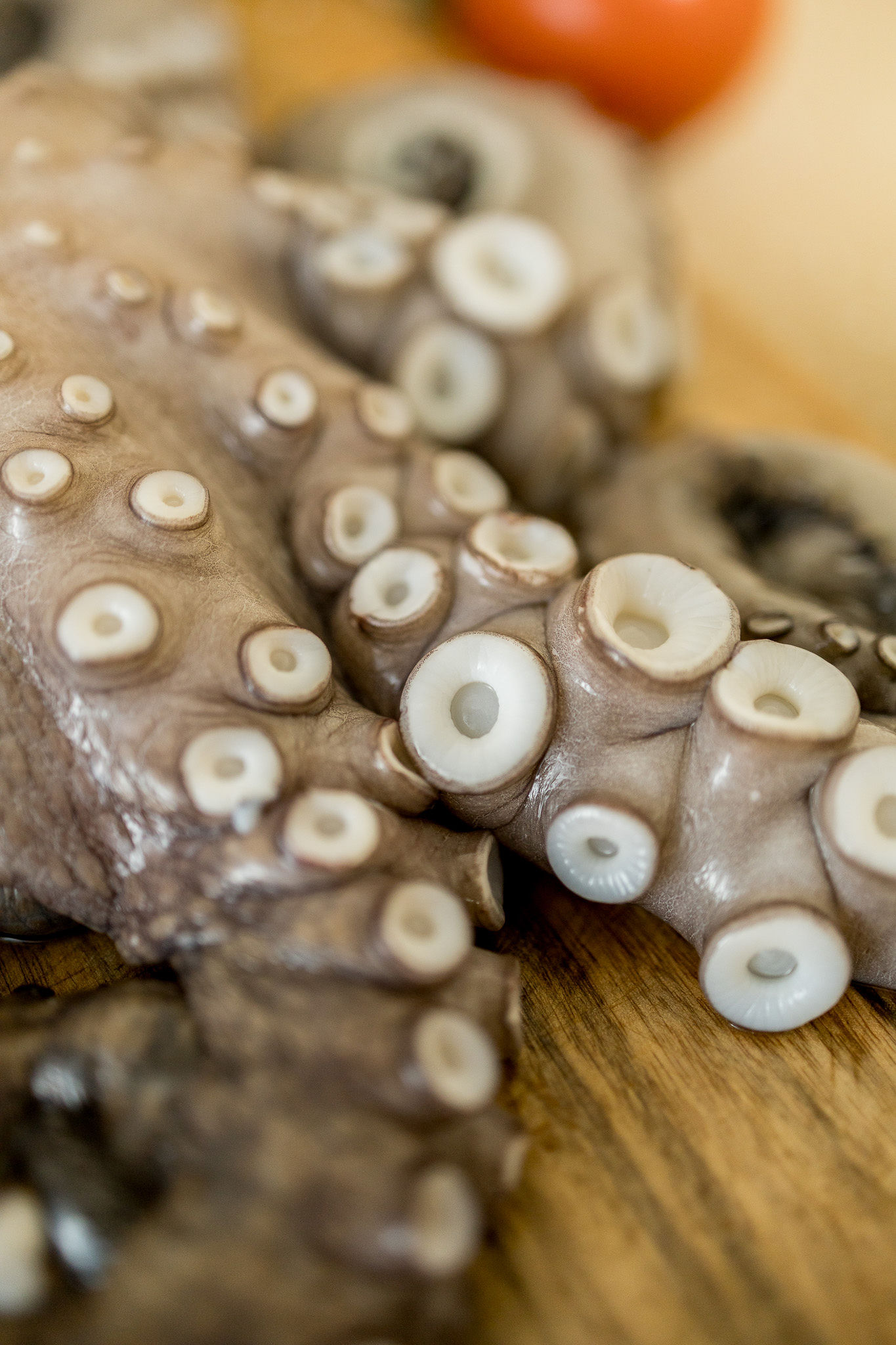 Donde comprar pulpo fresco