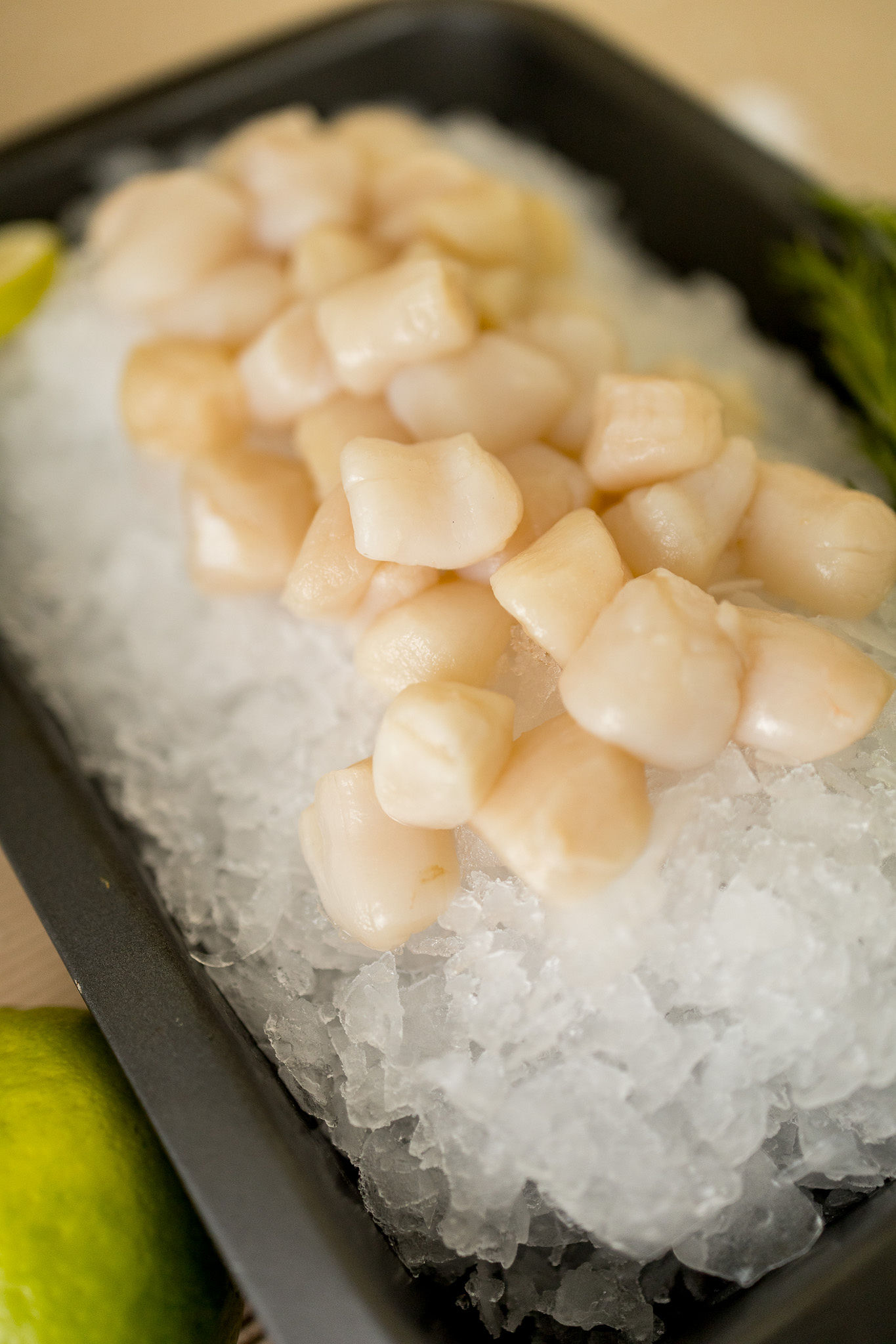 Scallops para restaurantes