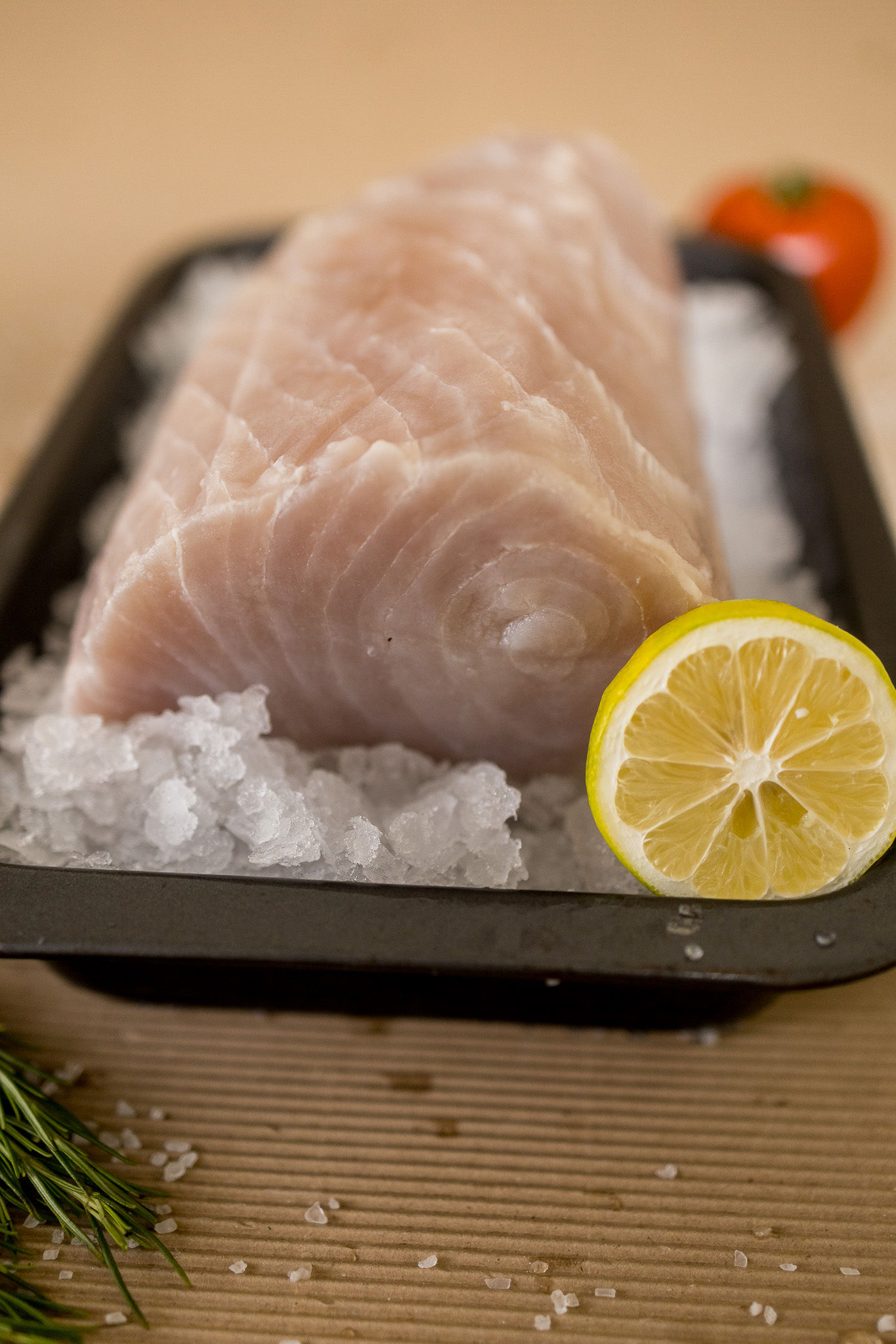 Venta de Picudo Ecuador