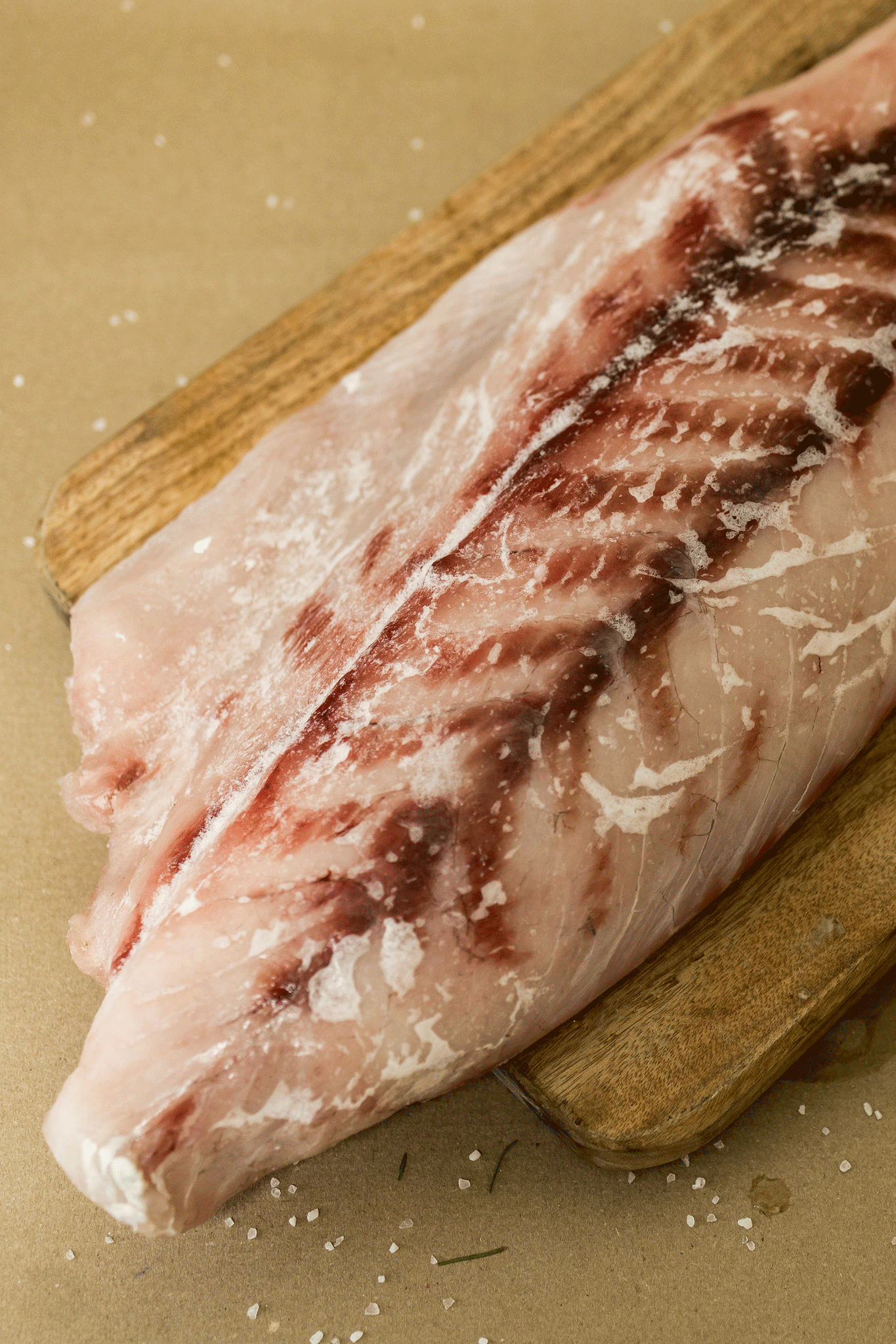 Venta-de-Robalo-Ecuador