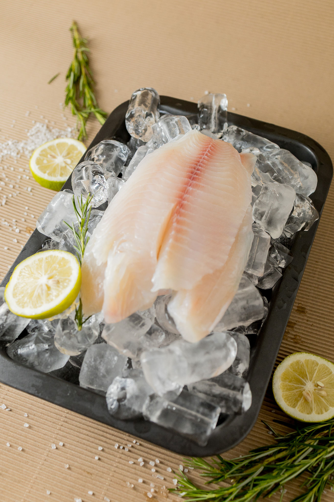 Venta de Tilapia Ecuador