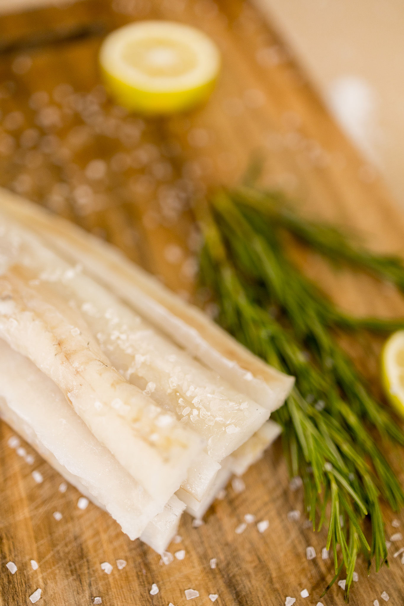 Venta de Trompeta Oymar Ecuador