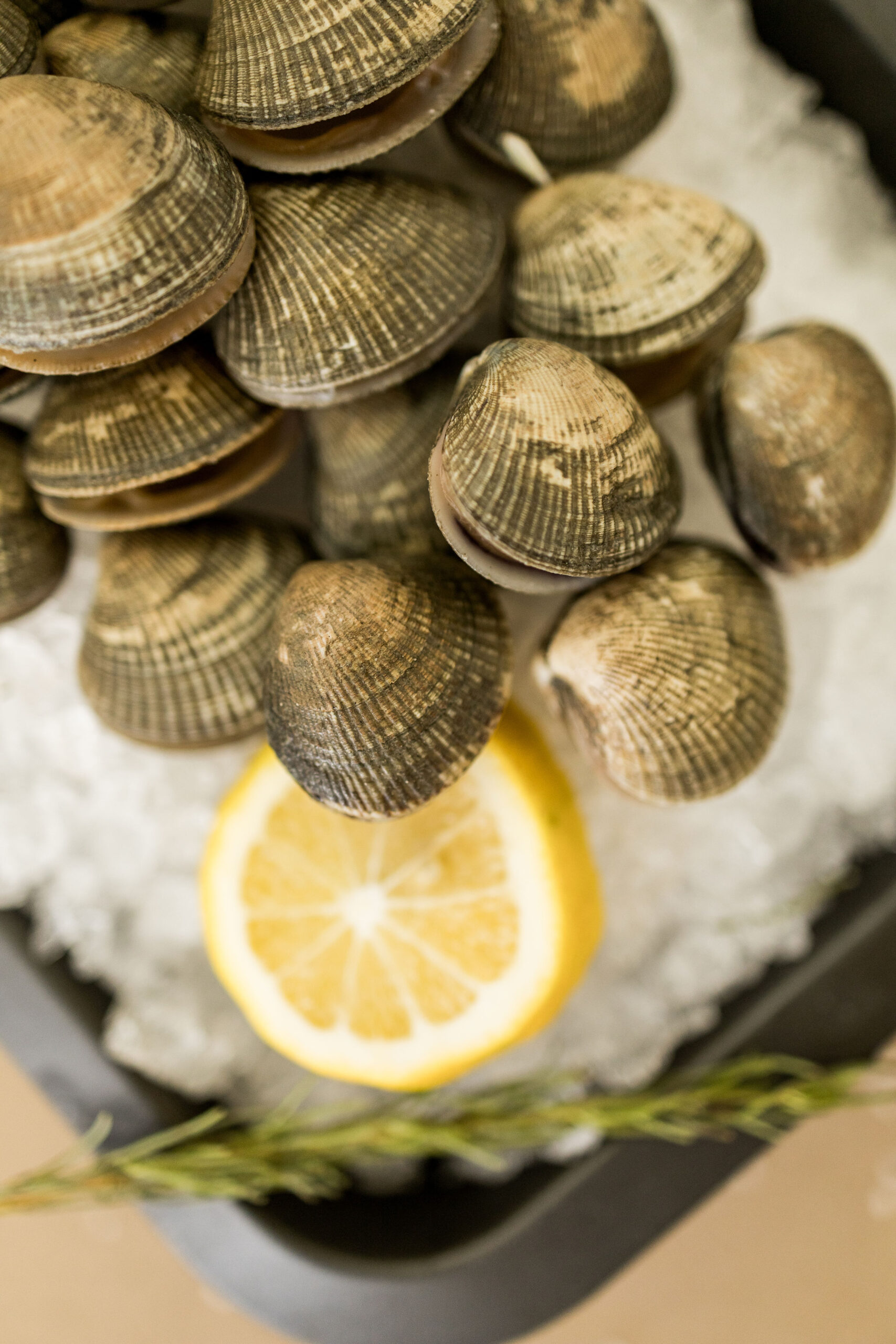 Venta de almejas Oymar