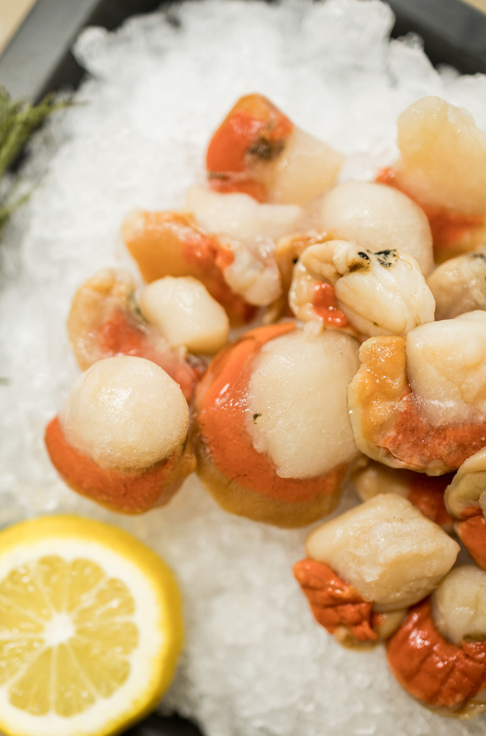 Venta de scallops Ecuador